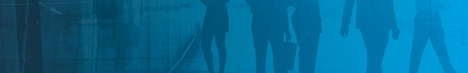 index-fin